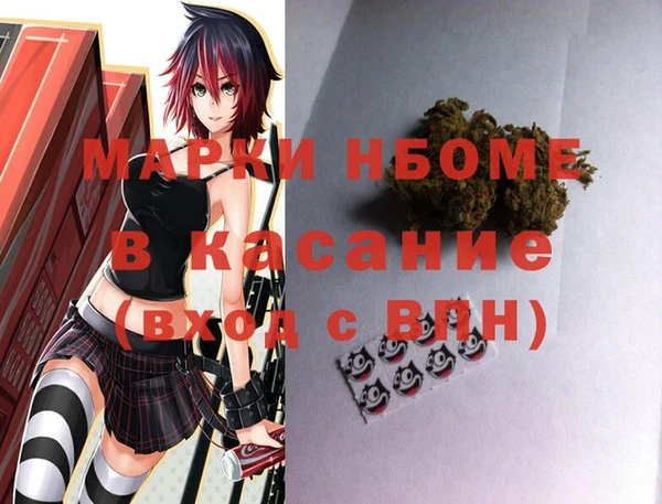 стаф Алзамай