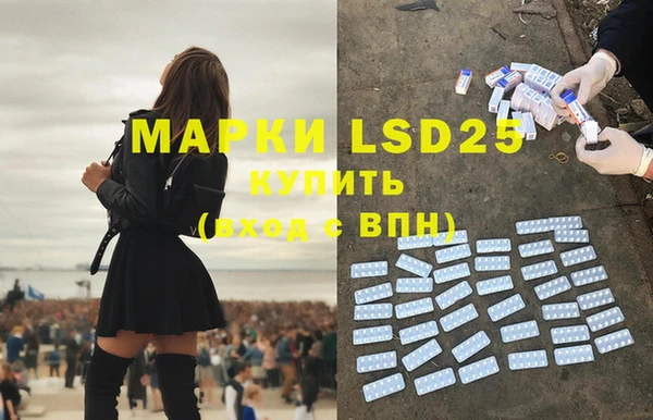 стафф Ростов