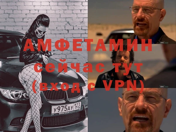 сатива Абинск