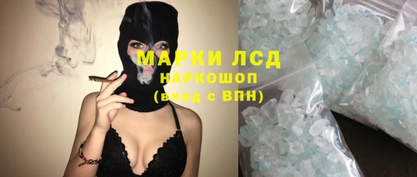 сатива Абинск