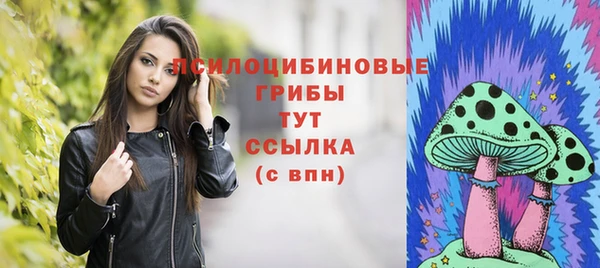 сатива Абинск