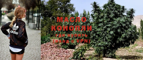 сатива Абинск