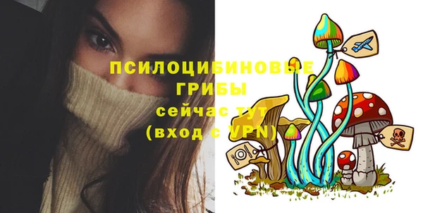сатива Абинск