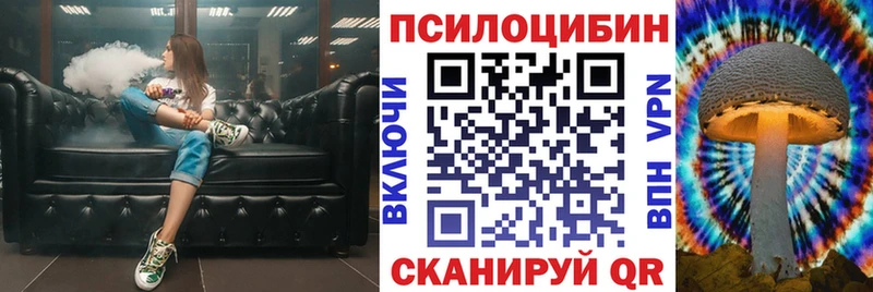 KRAKEN ссылки Черепаново Галлюциногенные грибы MAGIC MUSHROOMS